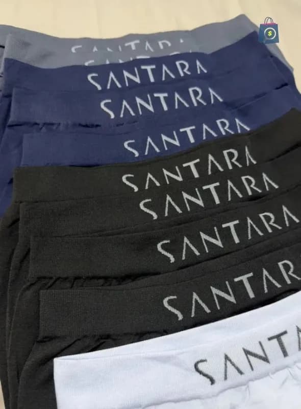 Kit com 10 Cuecas Boxer Microfibra Sem Costura Santara
