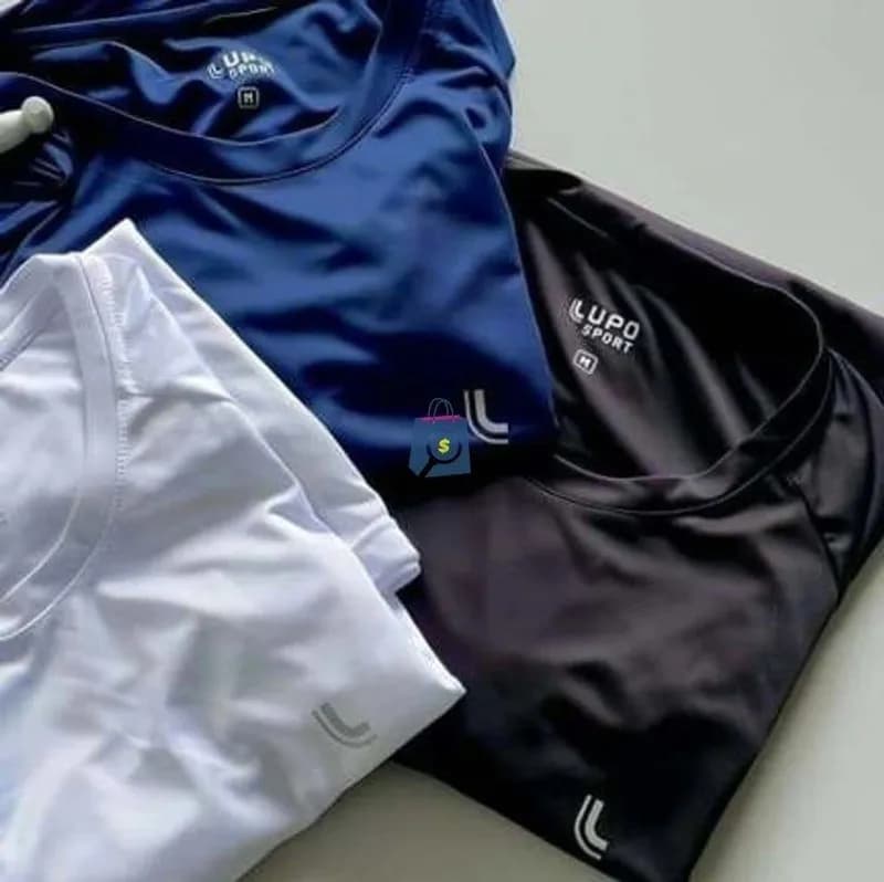 Camiseta Esportiva Lupo Masculina Dry Academia Confortável